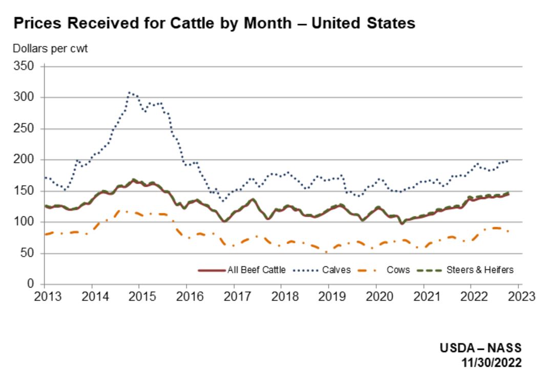 The Cattle Cycle What You Need to Know Today Drovers